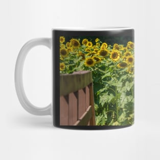 Into the Sunflowers Mug